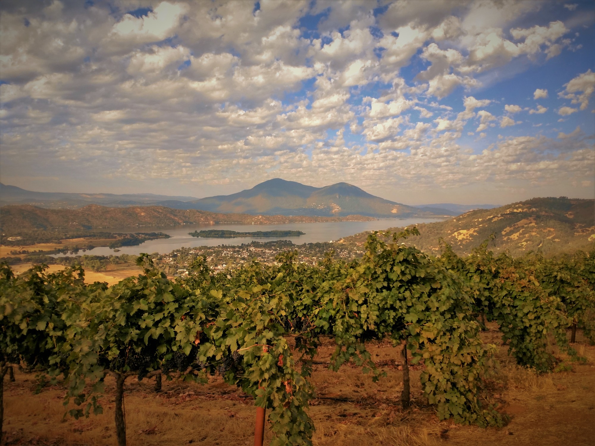 wineries-lake-county-ca-featherbed-railroad-bnb